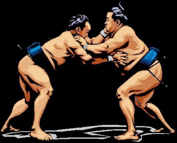 UN SUMO DE POIDS